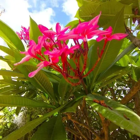 Beautiful 3 Bedroom Townhouse In Urb. Tropicana, *